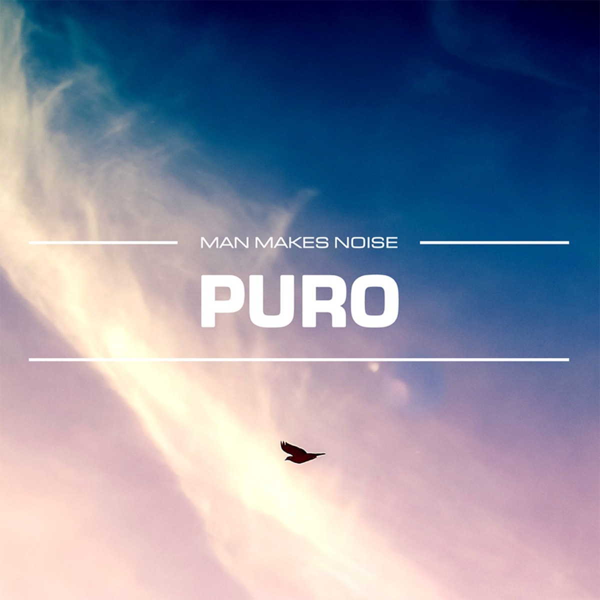 Man Makes Noise - Puro Presets Software GUI Artwork